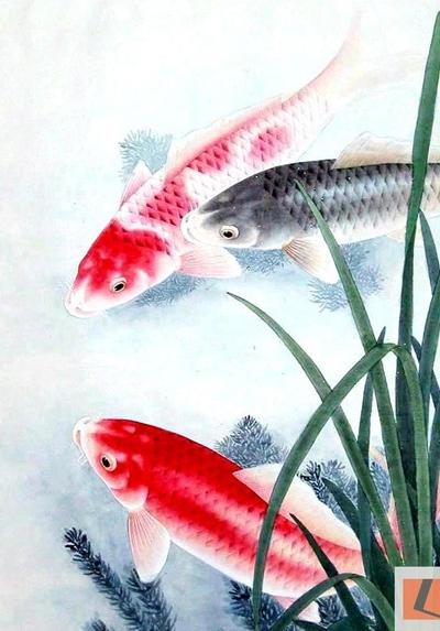  Mẫu tranh kính hoa sen cá đẹp TKHS012- Licoglass